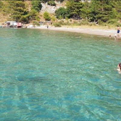 WhatsApp Image 2019-05-25 at 14.00.35