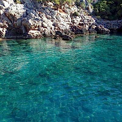 WhatsApp Image 2019-05-25 at 14.09.35(1)