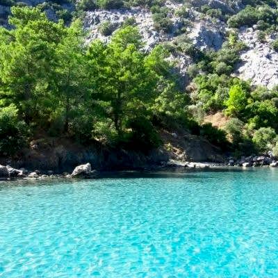 WhatsApp Image 2019-05-25 at 14.14.48