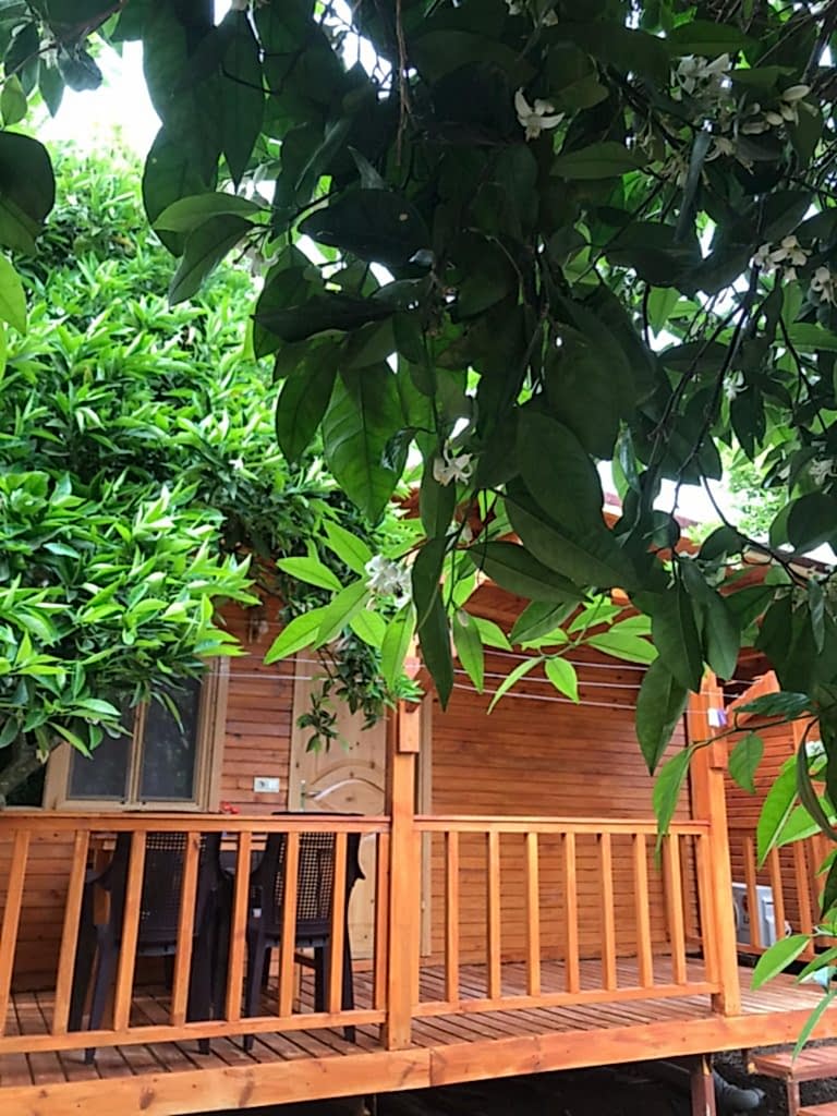 Adrasan Medcezir Bungalov Evleri